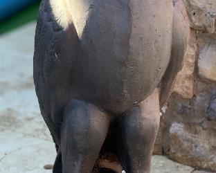 Metal Eagle Garden Statue #1 32in H