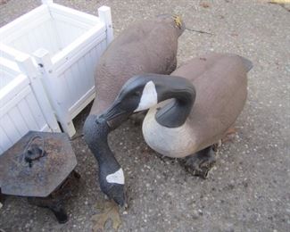 SET OF GEESE
