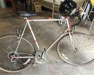 Curious Precambrian implement used by ancient societies to get from one place to another