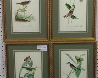 Birds by John Audubon