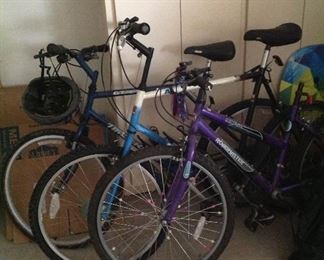Three bicycles for family outings.