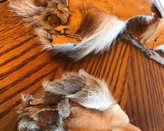 bear paws