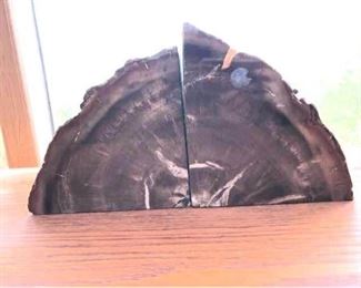 petrified wood book ends