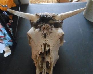 Not sure if this is a bison, but it looks similar to remakes online.  Taking bids on this real skull.
