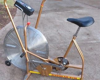 Schwinn Air-Dyne exercise bike