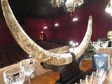 CHINESE CARVED BONE DOUBLE TUSK ON STAND, APPROX 51" WIDE