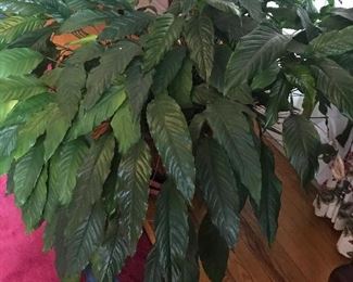 Large plant (real)