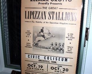 The Great Lipizzan Stallions poster