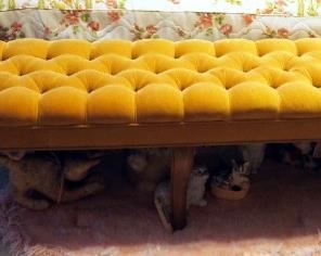 Vintage Upholstered Dressing Bench 18" x 77" x 16"