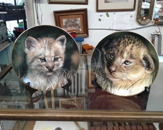 Plates Cats Cubs