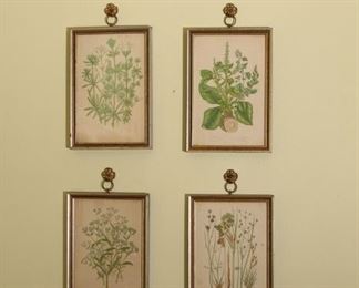 Set of four vintage botanical prints.