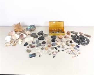 Large Raw Geode, Rock, and Shell Collection
