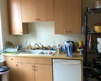 Kitchen Cabinets, Sink & Contents
