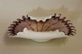 Art Glass Dish with Ruffled and Curled Edge