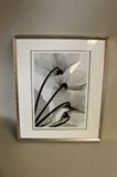 Large Framed Floral Lithograph