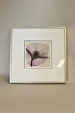 Framed Floral Lithograph