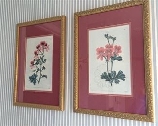 Matching Framed floral prints.