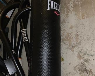 Boxing/MMA heavy bag, stand and speed bag.  