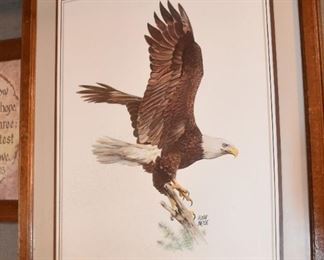 Eagle Picture by Hugh Hirtle