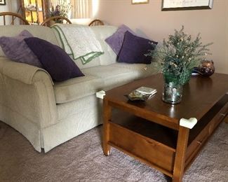 Clean sofa , wood coffee table