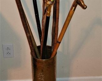 Variety of Walking Sticks