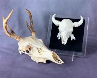 Two Animal Skull Subject Items. Two Animal Skull Subject Items, a natural bleached antlered deer skull and an art paper ceremonial buffalo skull, artist titled 'Old Buffalo Bull,' artist signed Patty Eckman and numbered 69/100, mounted on velvet in lucite box.  1st 11 in.l. x 8.5 in. d. 2nd, 5 in. l. x 6 in. w.  Condition: Very Good