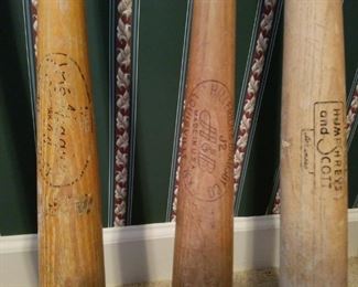 A closer look at a few of the bats