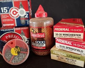 Pellets and centerfire rifle ammo