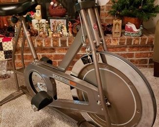 Schwinn DX900 stationary bike