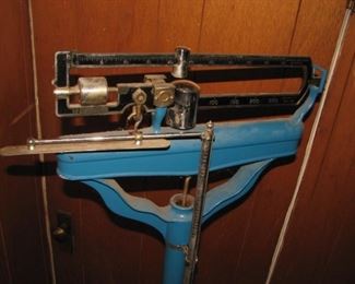 Medical scale