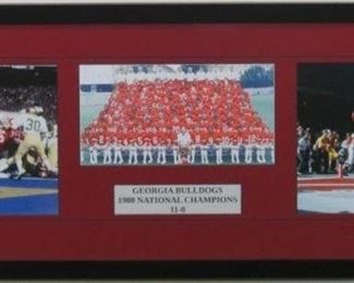 Georgia Bulldogs 1980 National Championship Collage