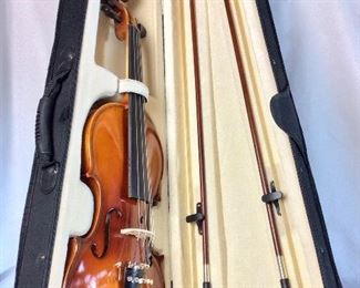 Cecilio Violin.