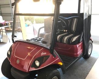 Immaculate 2008 Yamaha 2-Seater Gas Golf Cart - $4250