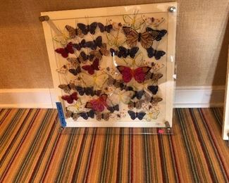 Pottery Barn silk butterflies in acrylic shadow box style frames