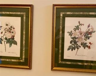 2 Botanical Framed Art pieces