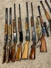 collection of over 12 long guns and rifles