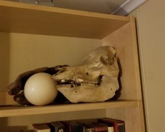 I think he needs to eat a little something...