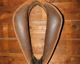 Horse Collar
