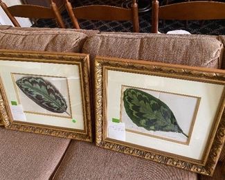 Hand Colored Framed Antique Botanical Prints