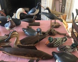 Collection of decoys and shore birds