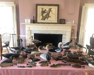 Large collection of hand carved and painted decoys and shore birds, fish too