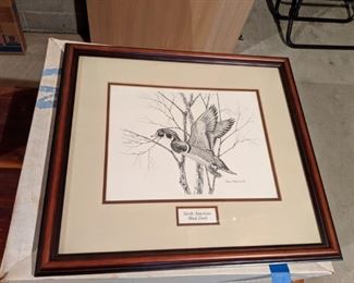 "North American Wood Duck" by John MacLeod