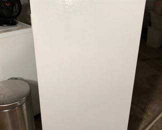 Frigidaire commercial upright freezer.