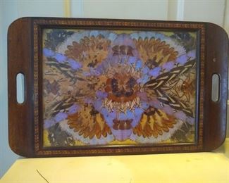 Butterfly wing tray