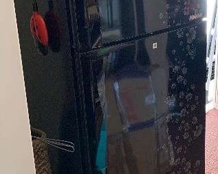 Samsung Compact Refrigerator R462 Multivoltage 68x24x27in HxWxD