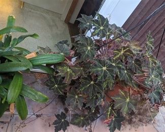 https://www.grasons.com/wp-content/uploads/2019/12/img-20191106-125642-701579-f8KoFfmN.jpg