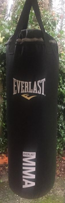 Everlast Longbag