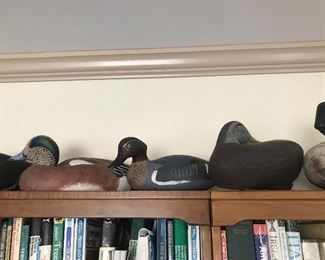 decoys