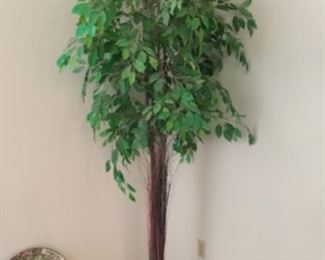 Silk Ficus Tree