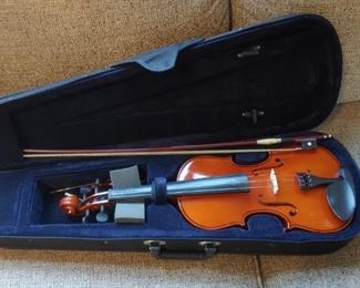 Violin